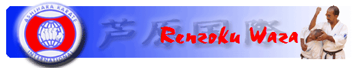 Renzoku Waza Renzoku Waza