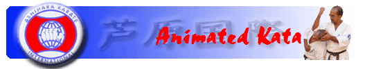 Animated Kata