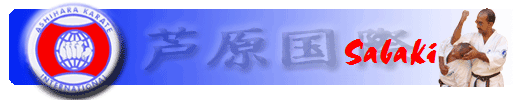 Sabaki