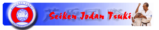 Seiken Jodan Tsuki