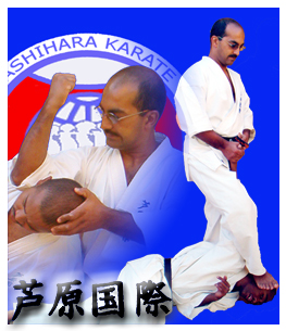 Montage1 copy