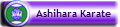 Ashihara Karate
