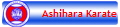 Ashihara Karate